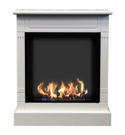 Биокамин ZeFire Клер Биокамин ZeFire Клер по цене 59 000 руб.